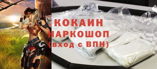 индика Осташков